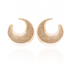 Stroili Ladies Earrings 1664595