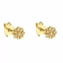 Yellow Gold Woman Earrings 803321734972