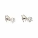 Women's White Gold Earrings 803321705764