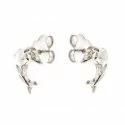 Dolphin Child Earrings White Gold 803321715565