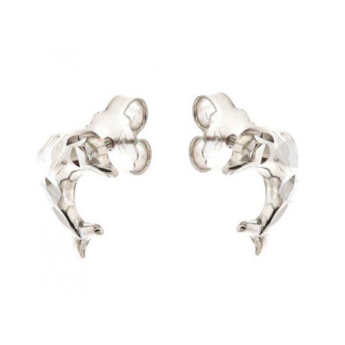 Dolphin Child Earrings White Gold 803321715565