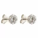 Women's White Gold Earrings 803321715954