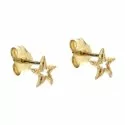 Starfish Yellow Gold Woman Earrings 803321730749