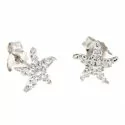 Starfish Girl Earrings White Gold 803321713559