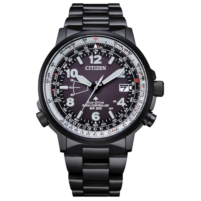 citizen pilot watch