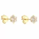 Yellow Gold Woman Earrings 803321715932