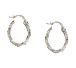 Women's Hoop Earrings in White Gold 803321727852