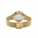 Orologio Daniel Wellington Donna Petite Evergold DW00100345