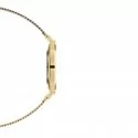 Daniel Wellington Ladies Watch Petite Evergold DW00100345