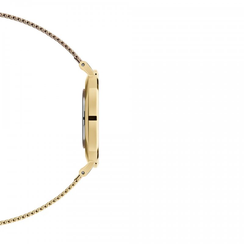 Daniel Wellington Ladies Watch Petite Evergold DW00100346