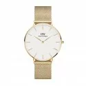 Daniel Wellington Ladies Watch Petite Evergold DW00100346