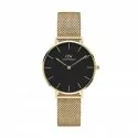 Orologio Daniel Wellington Donna Petite Evergold DW00100347