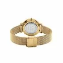 Orologio Daniel Wellington Donna Petite Evergold DW00100347