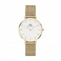 Daniel Wellington Damenuhr Petite Evergold DW00100348