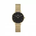 Orologio Daniel Wellington Donna Petite Evergold DW00100349