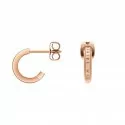 Daniel Wellington Ladies Earrings Elan DW00400146