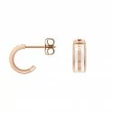 Daniel Wellington Ladies Earrings Emalie DW00400148