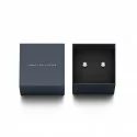 Daniel Wellington Ladies Earrings Aspiration DW00400152