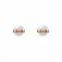 Daniel Wellington Ladies Earrings Aspiration DW00400152