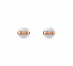 Daniel Wellington Ladies Earrings Aspiration DW00400152