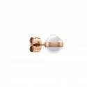 Daniel Wellington Ladies Earrings Aspiration DW00400152