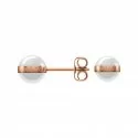 Daniel Wellington Ladies Earrings Aspiration DW00400152