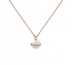 Daniel Wellington Ladies Necklace Aspiration DW00400157