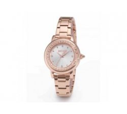 Orologio Donna JUST CAVALLI GLAM CHIC JC1L151M0075 