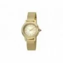 Woman Watch JUST CAVALLI GLAM CHIC JC1L151M0525 