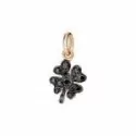 Charm DODO DMB6008FOURSDBK9R 