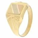 Man Ring Yellow White Rose Gold GL100183