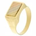 Man Ring Yellow White Rose Gold GL100189