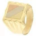 Man Ring Yellow White Rose Gold GL100192