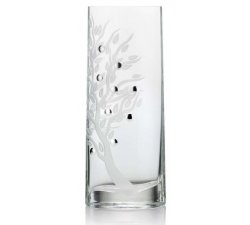 Zylindrische Vase Kristall und Silber Sovrani Argenti W2181