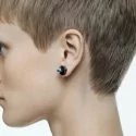 Swarovski Chroma Ladies Earrings 5613723