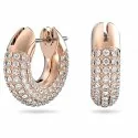 Swarovski Dextera Ladies Earrings 5636531