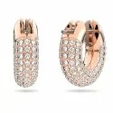 Swarovski Dextera Ladies Earrings 5636531