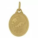 Ciondolo Segno Zodiacale Pesci Oro Giallo GL100262