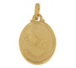 Anhänger Sternzeichen Steinbock Gelbgold GL100265