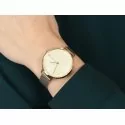 Tommy Hilfiger Ladies Watch 1782164