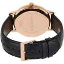 CALVIN KLEIN ESTABILISHED Men's Watch K9H216C6 