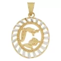 Pendant Medal Baptism Yellow White Gold GL100588