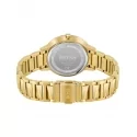 Hugo Boss Ladies Watch 1502541