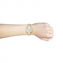 Hugo Boss Ladies Watch 1502552