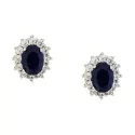 Women&#39;s White Gold Earrings GL100638
