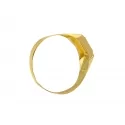Men&#39;s Ring in Yellow Gold 196379