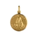 Saint Francis of Paola Yellow Gold Medal GL100748