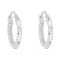 Women&#39;s Hoop Earrings in White Gold 803321727727