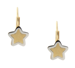 White Yellow Gold Women&#39;s Earrings GL100815