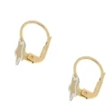 White Yellow Gold Women&#39;s Earrings GL100815